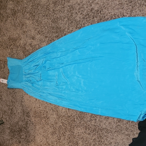 PARKER NWT LONG BUSTIER MAXI REAL SILK LINED DRESS - Picture 10 of 10